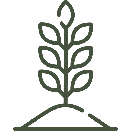 Logo button