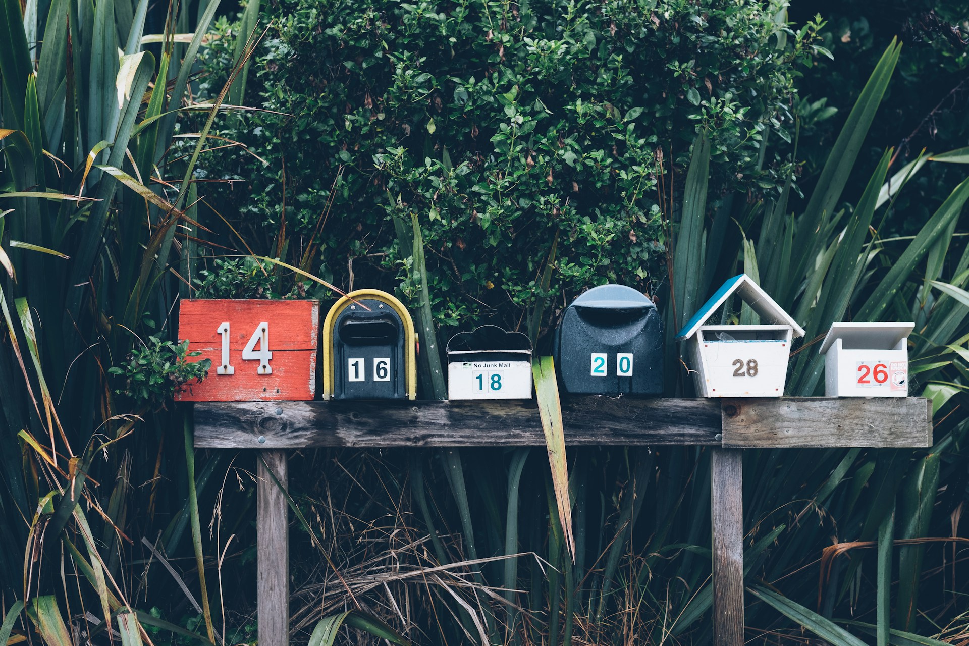 Mailboxes surrounded by greenery