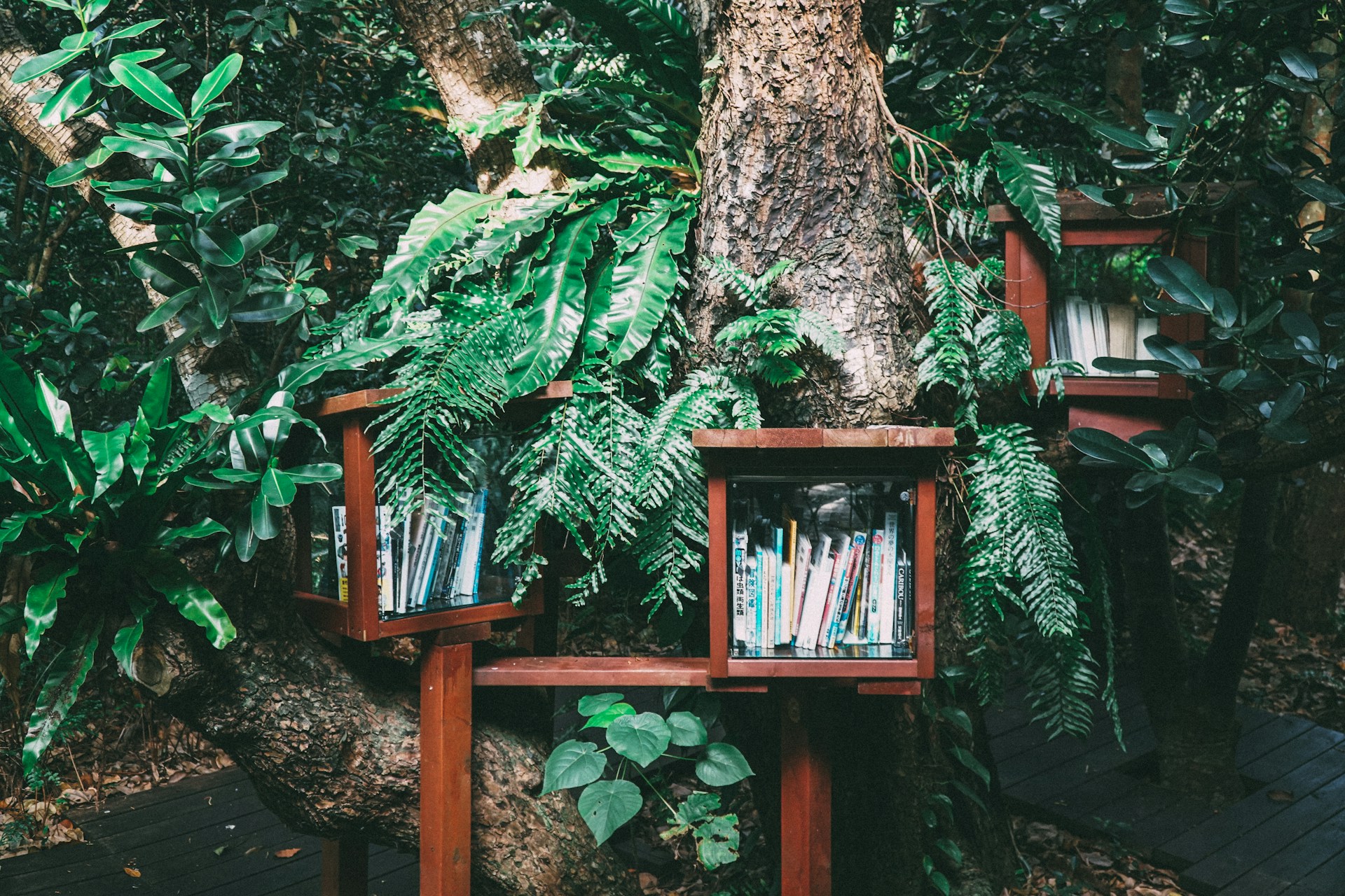 Books piled on brown wooden bookshelf